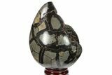 Septarian Dragon Egg Geode - Black Crystals #134642-2